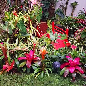  Privatunterkunft Anthurium Hale USA